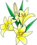 30 Types of Yellow Flowers and Their Meanings — Starz Psychics spiritual blog, psychic insights