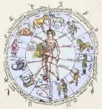 The Zodiac as It Relates to the Body