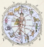 The Zodiac as It Relates to the Body — Starz Psychics spiritual blog, psychic insights