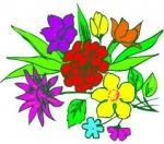 What Flowers Are Best for Your Star Sign? — Starz Psychics spiritual blog, psychic insights