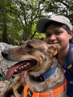 Psychic Readings by PawsWithApril